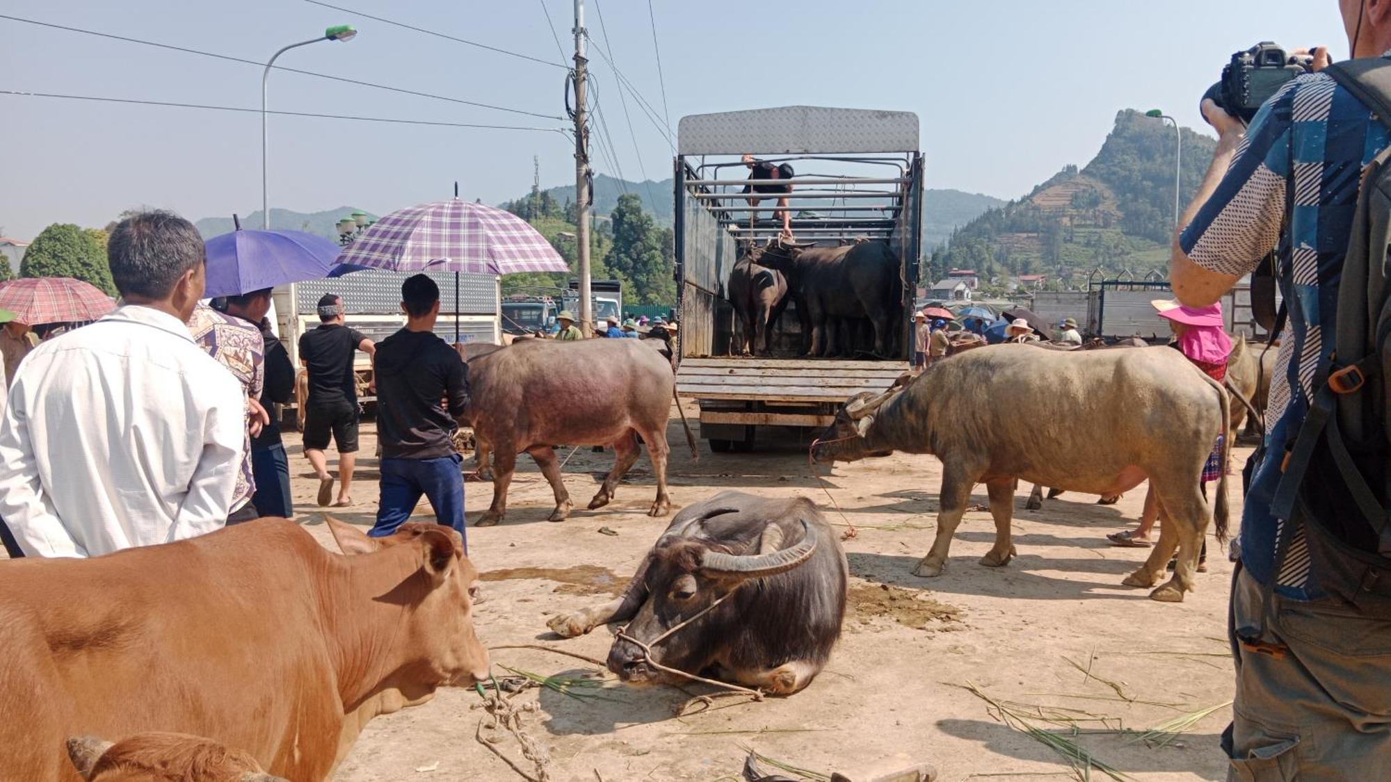 Homestay Higland Bac Ha (Lao Cai)